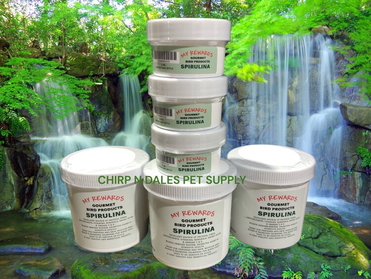 My Rewards My Rewards Spirulina 1 oz