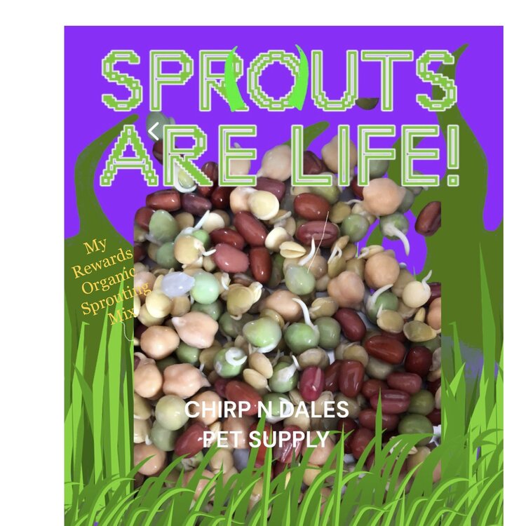 My Rewards My Rewards Organic Sprouting Mix 7oz