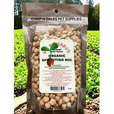 My Rewards My Rewards Organic Sprouting Mix 7oz