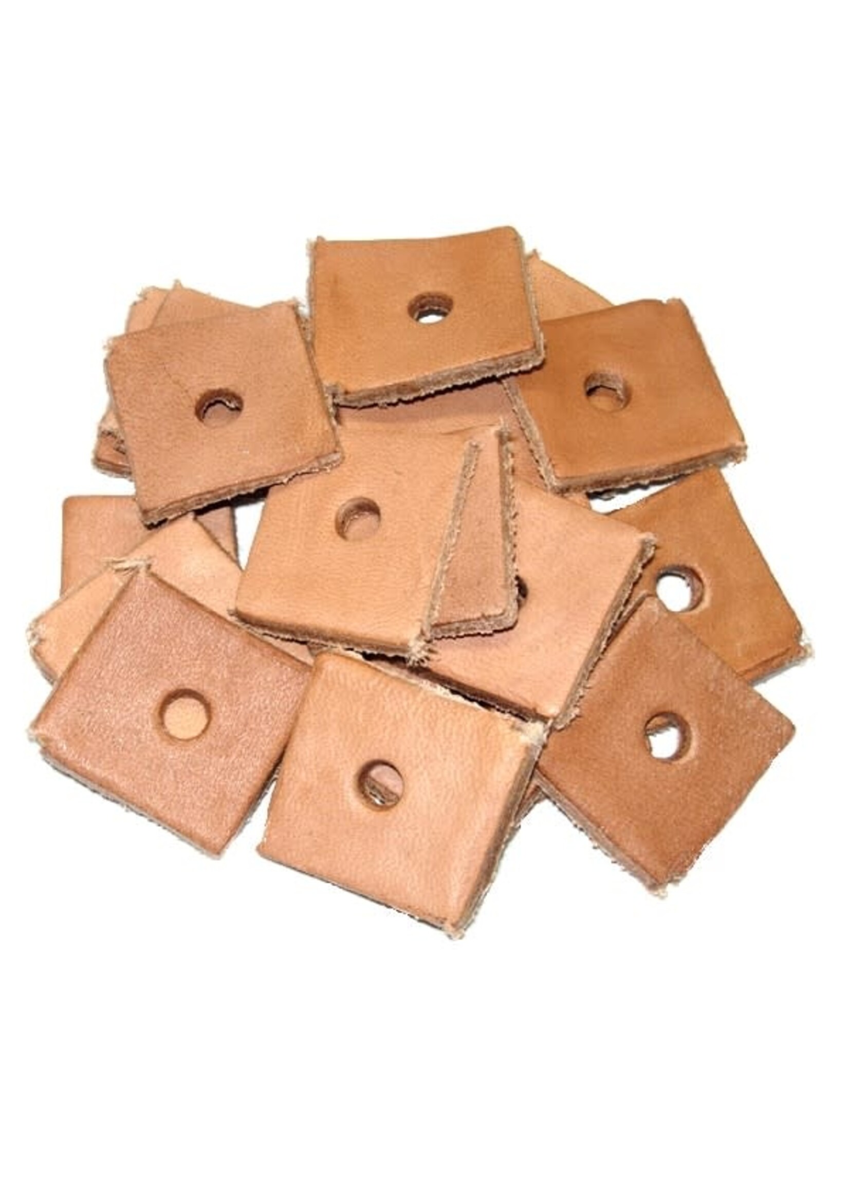 Zoo-Max Zoo-Max 20 pc 1 x 1” Leather Squares 228
