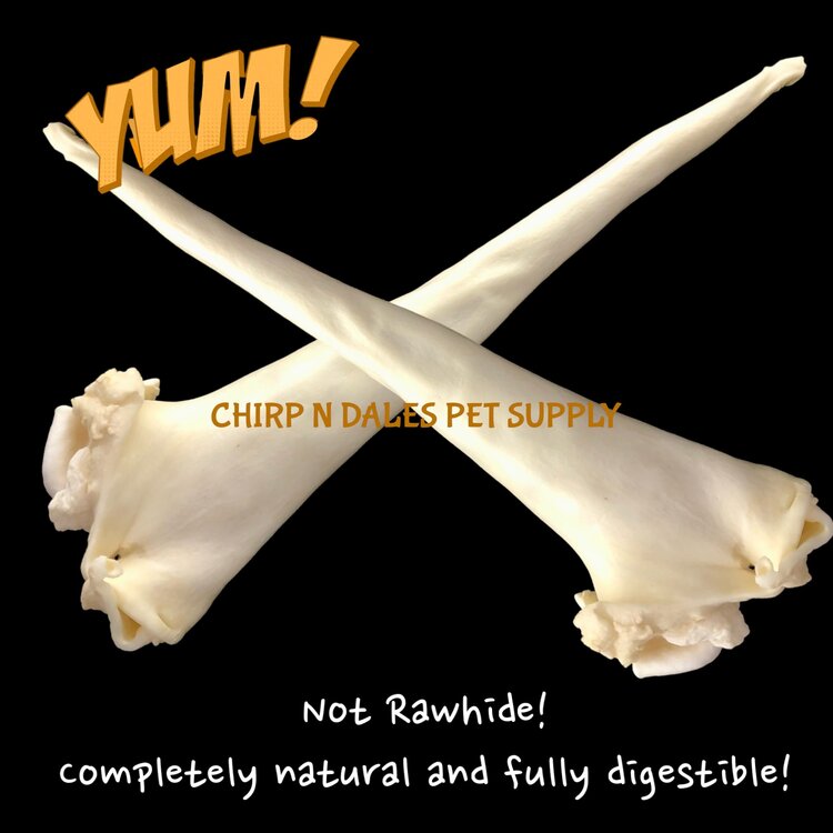 Open Range Open Range Full Length Bull Tail