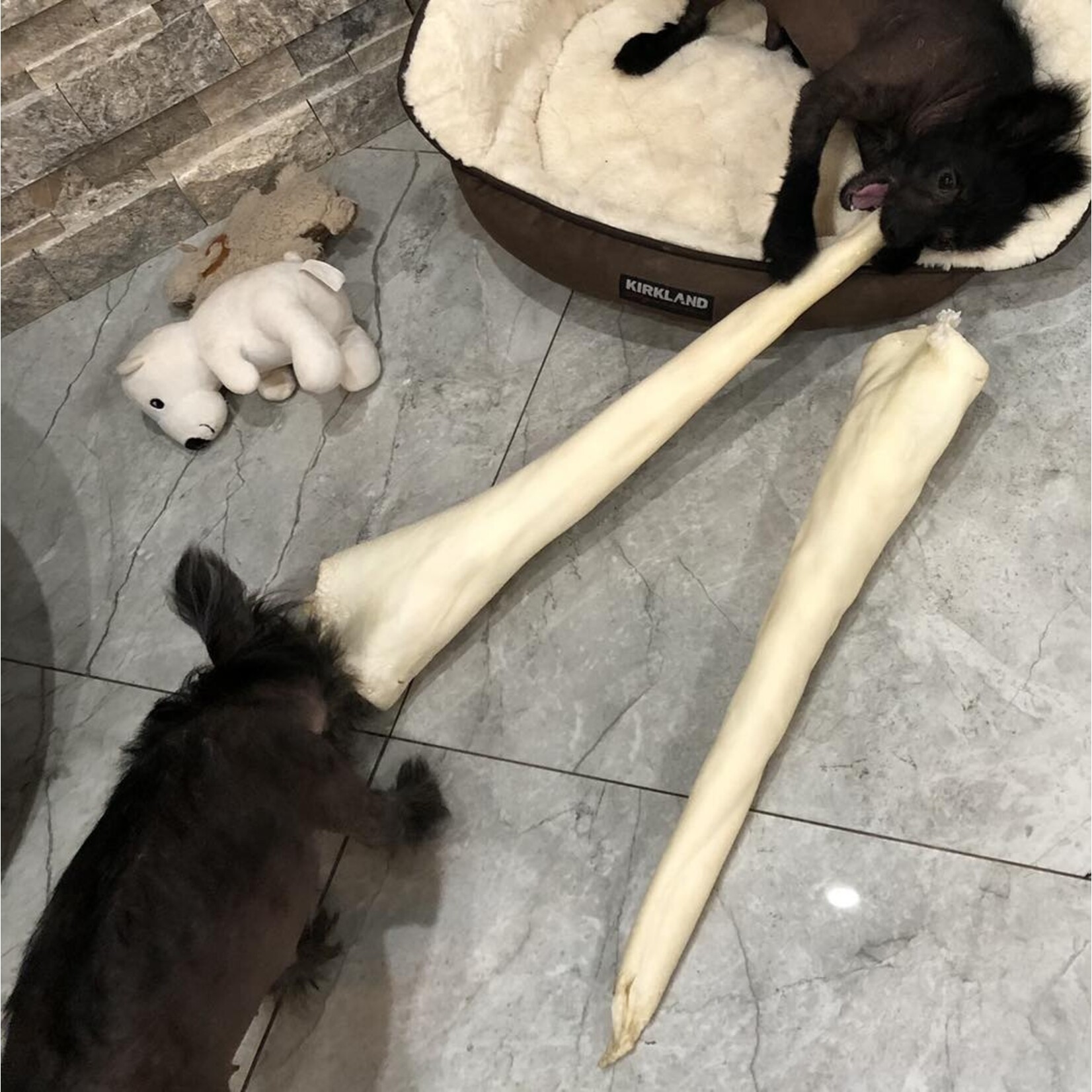 Open Range Open Range Full Length Bull Tail