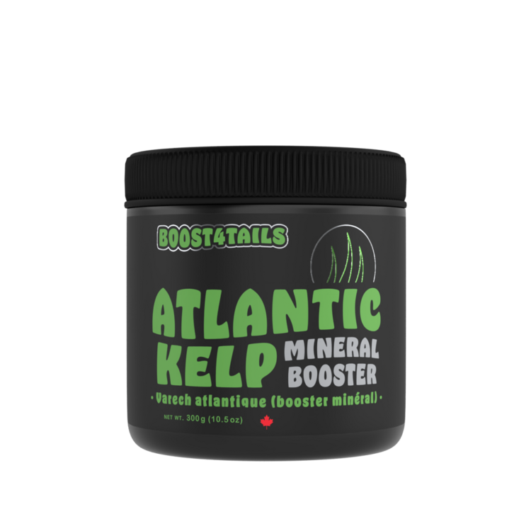 Hemp 4 Tails Hemp 4 Tails BOOST 4 TAILS: ATLANTIC KELP 300 G