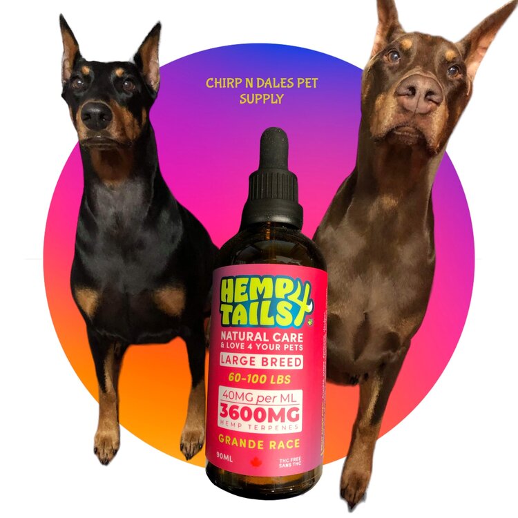 Hemp 4 Tails Hemp 4 Tails JUMBO LARGE BREED (60-100LBS) – 3600MG – 90ML