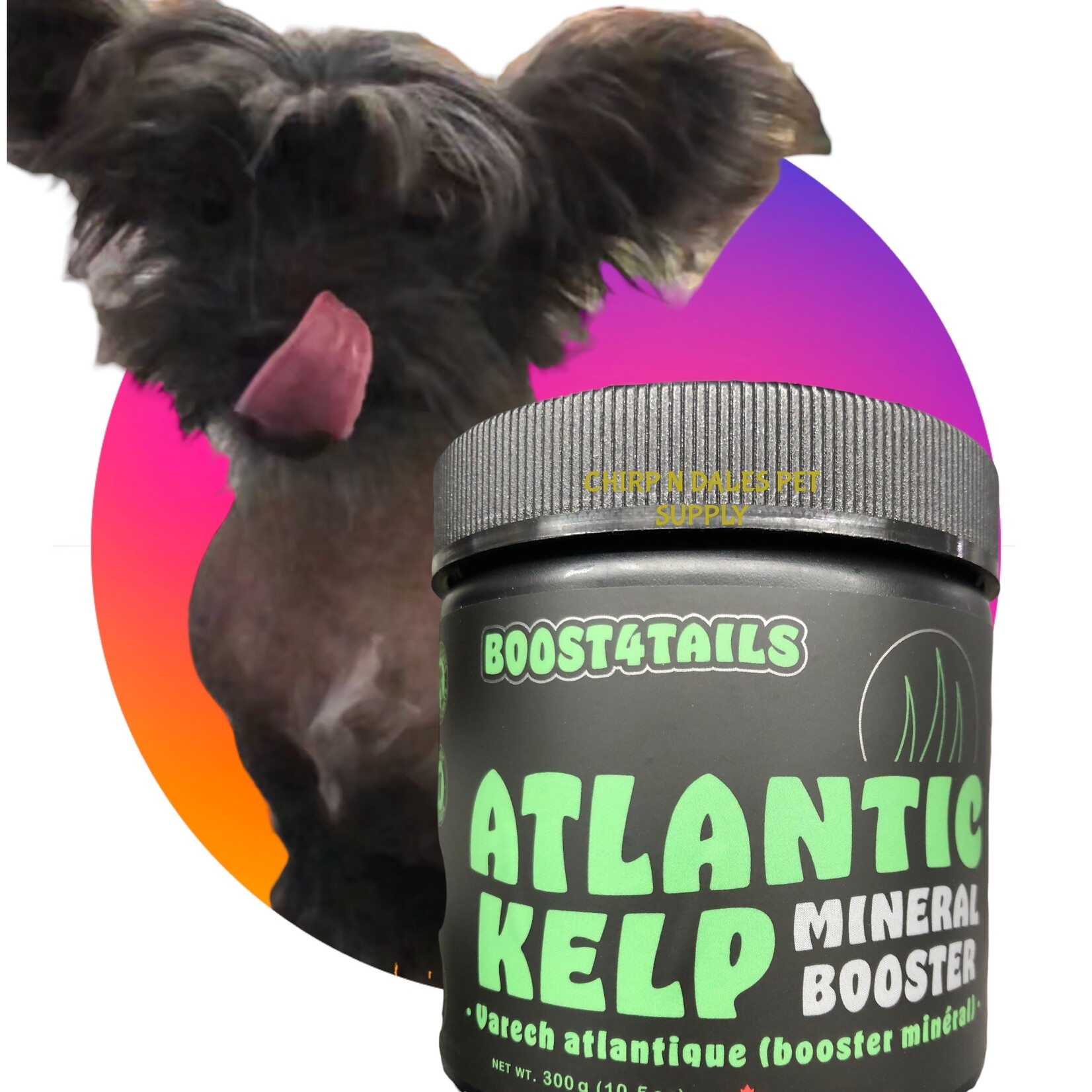 Hemp 4 Tails Hemp 4 Tails BOOST 4 TAILS: ATLANTIC KELP 300 G