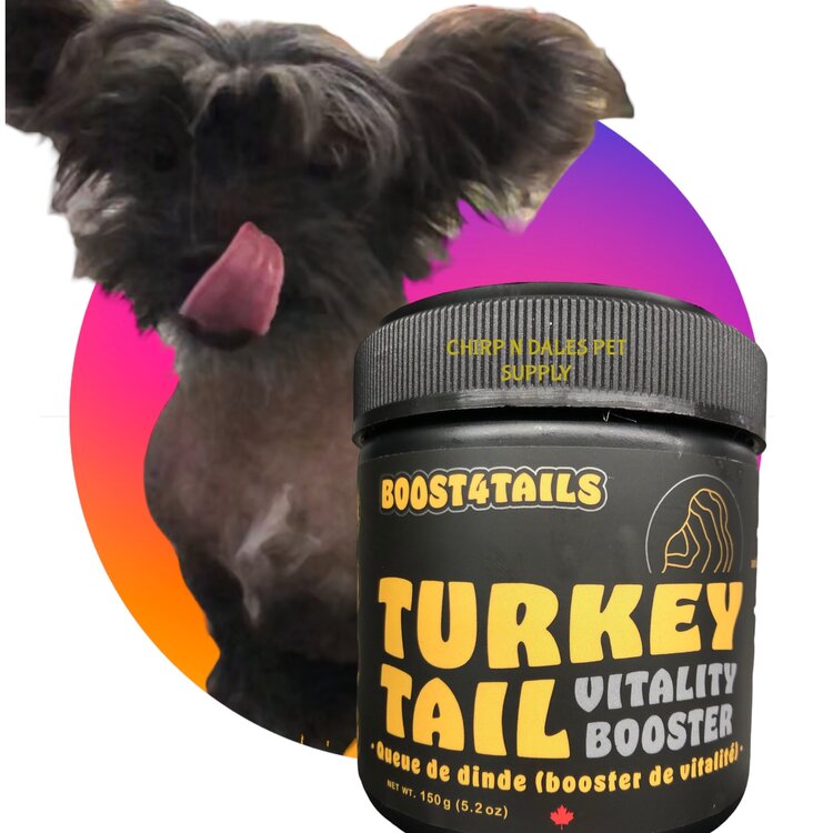 Hemp 4 Tails Hemp 4 Tails BOOST 4 TAILS: TURKEY TAIL 150 G