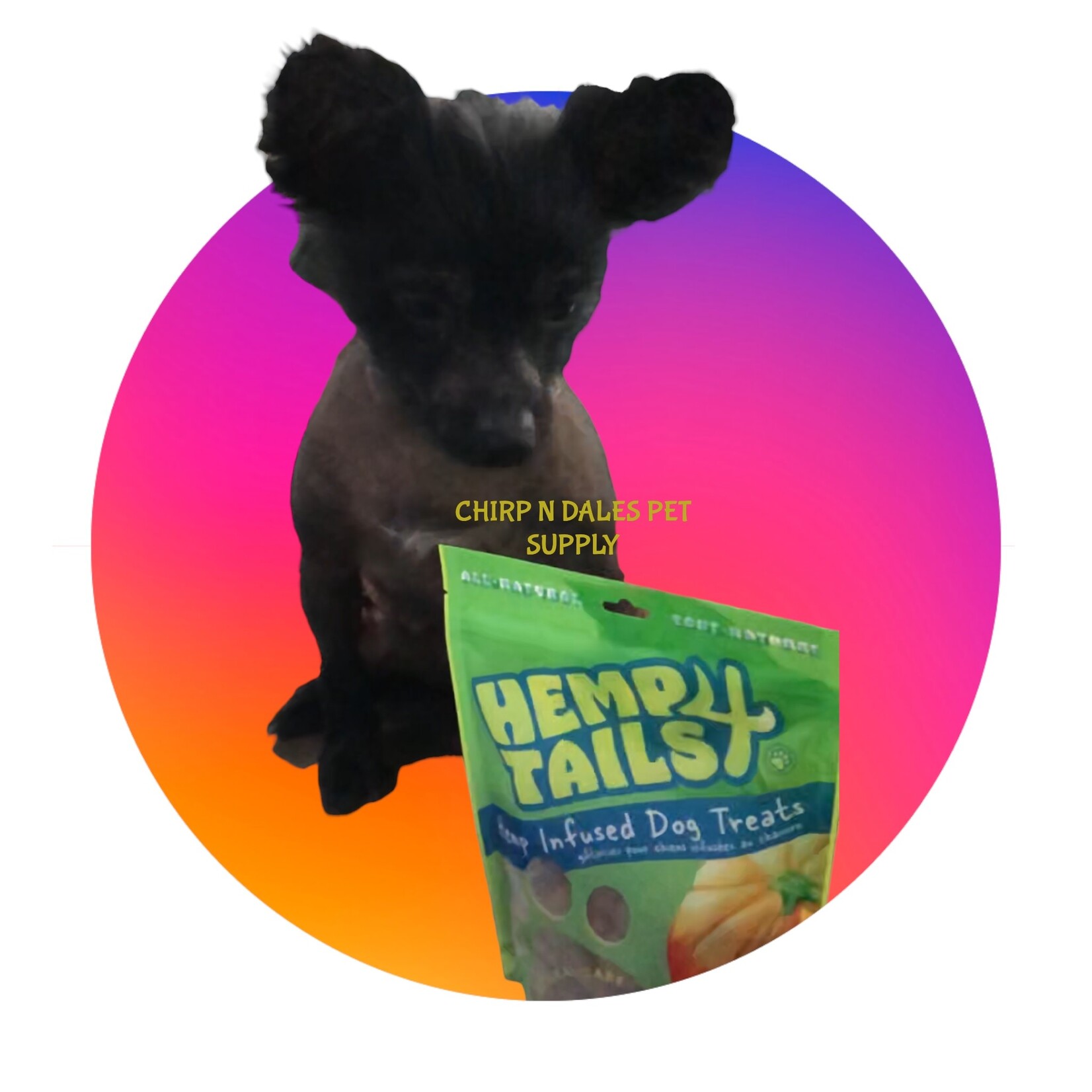 Hemp 4 Tails Hemp 4 Tails HEMP DOG TREATS – PUMPKIN 250g