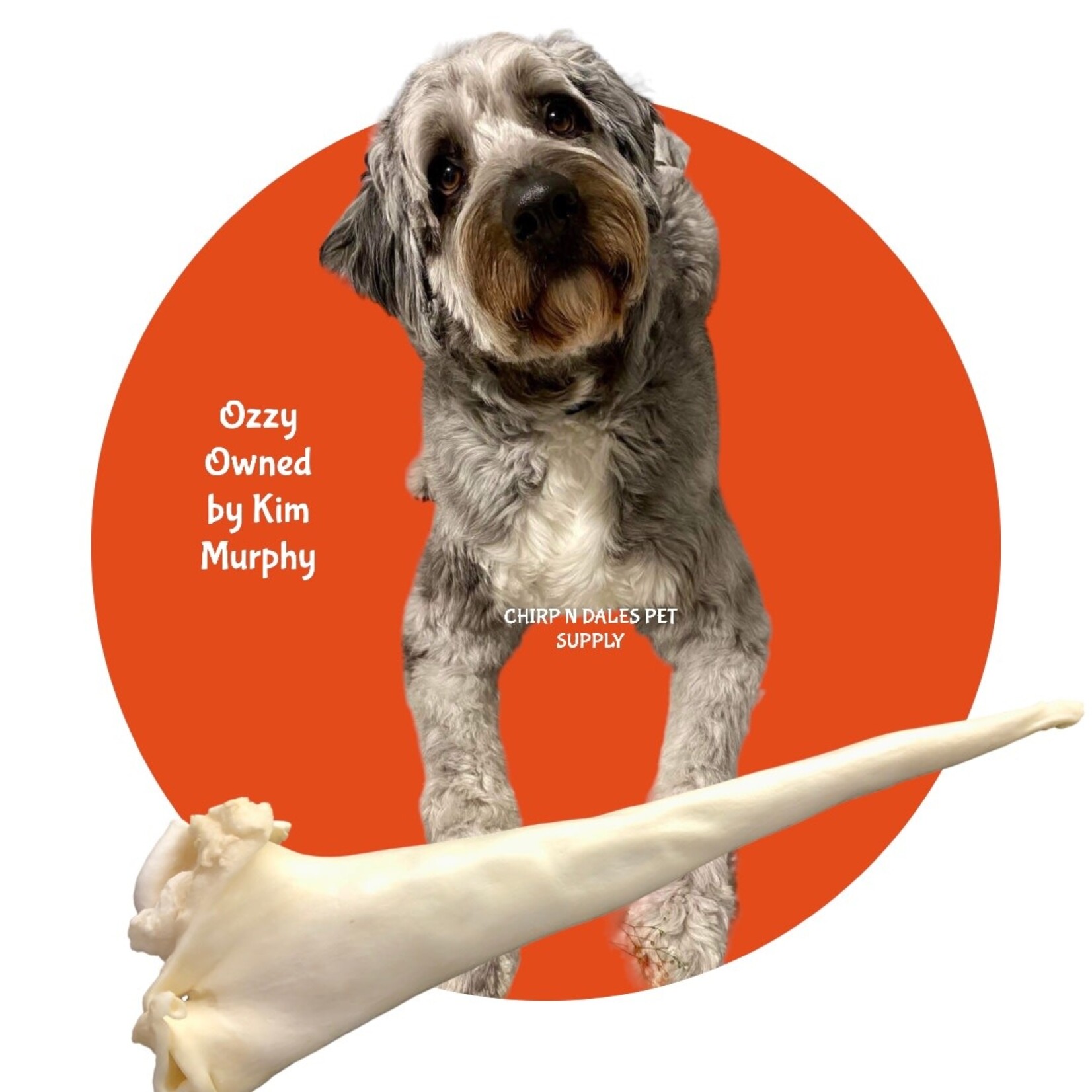 Open Range Open Range Full Length Bull Tail