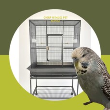 Glitter Pets GP Flight Cage  FL01 32 x 21"''