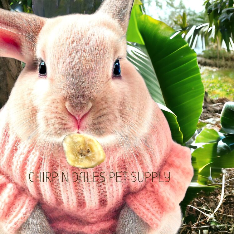 My Rewards My Rewards Dried Banana Slices 45G