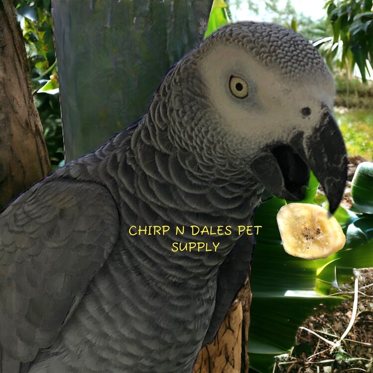 My Rewards My Rewards Dried Banana Slices 45G