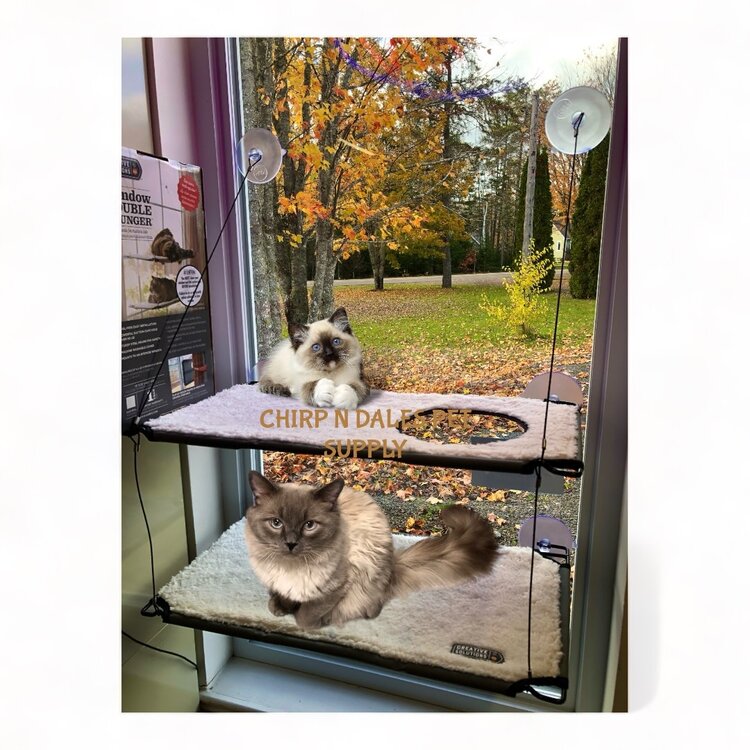 K&H Pet K&H PET PRODUCTS™ KITTY SILL DOUBLE STACK EZ WINDOW MOUNT 12x23 inch