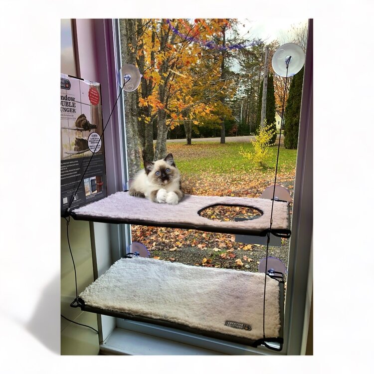 K&H Pet K&H PET PRODUCTS™ KITTY SILL DOUBLE STACK EZ WINDOW MOUNT 12x23 inch