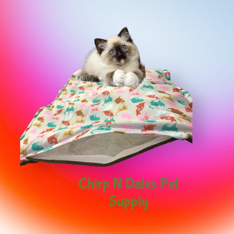 FouFoucat  Refillable Catnip Mat with Plush  Bottom