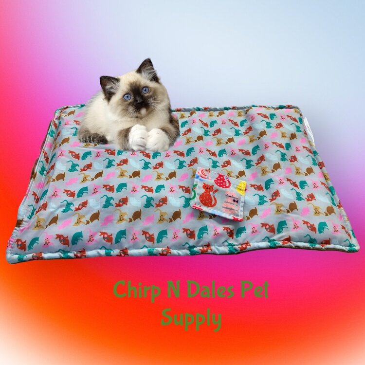 FouFoucat  Refillable Catnip Mat with Plush  Bottom