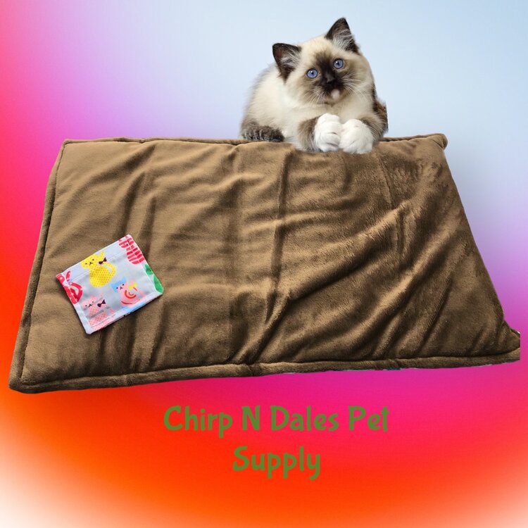 FouFoucat  Refillable Catnip Mat with Plush  Bottom