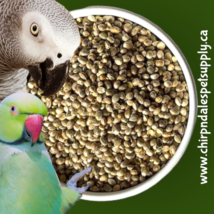 Baden Feed & Supply Baden Hemp Seed 22.68kg (50lb)