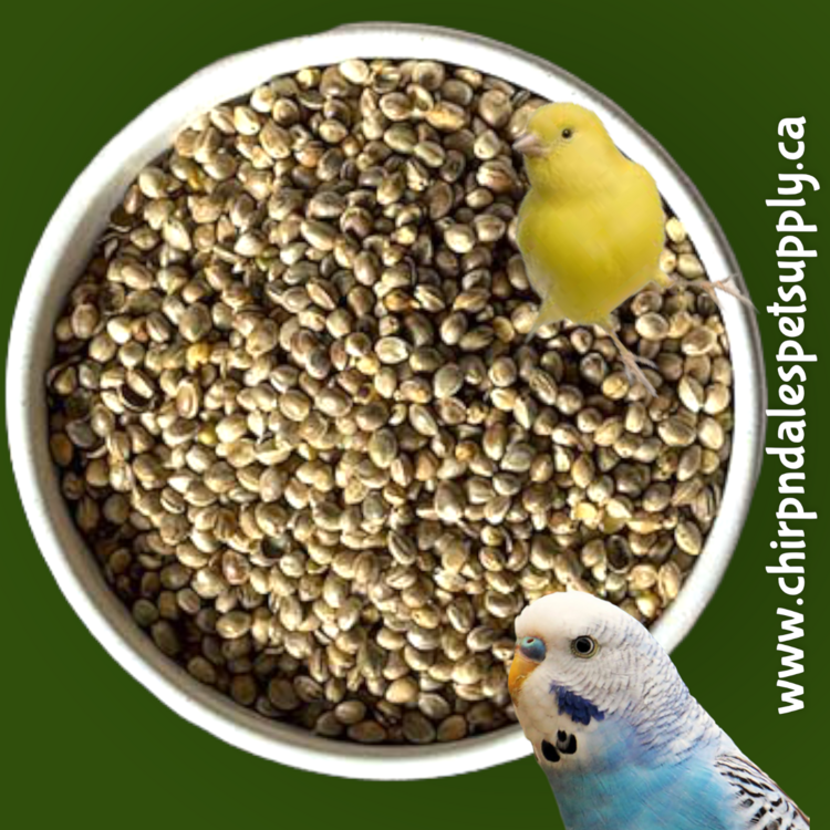 Baden Feed & Supply Baden Hemp Seed 22.68kg (50lb)