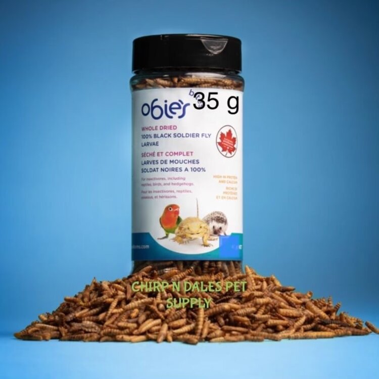 Obie's Bites Whole Dried Black Soldier Fly Larvae 35 g