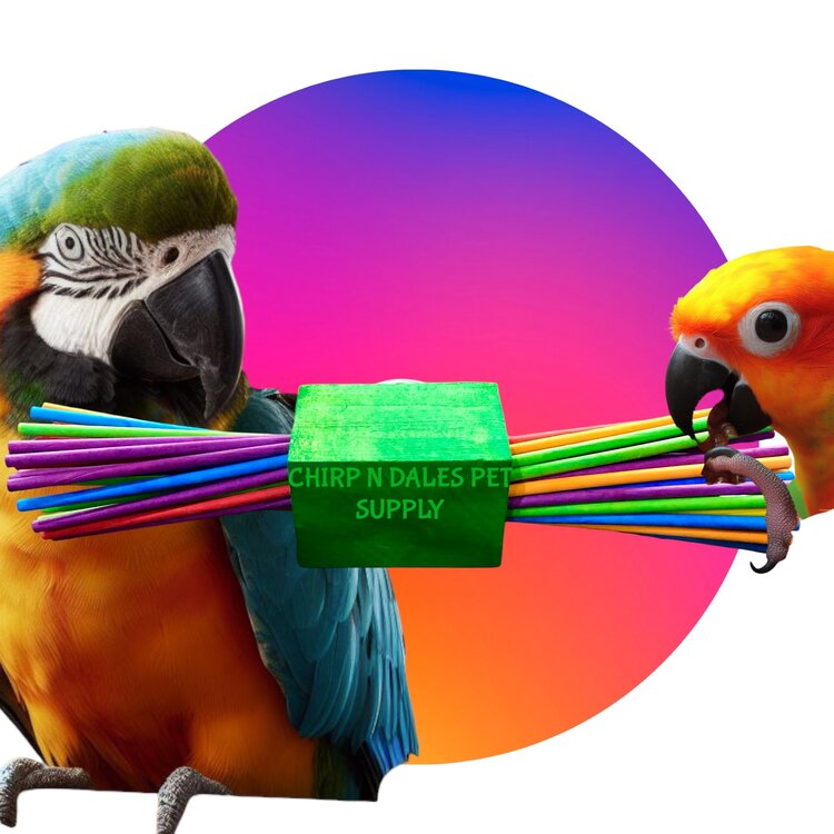 Kings Cages Kings Cages Bolt on Shreddable Paper Sticks