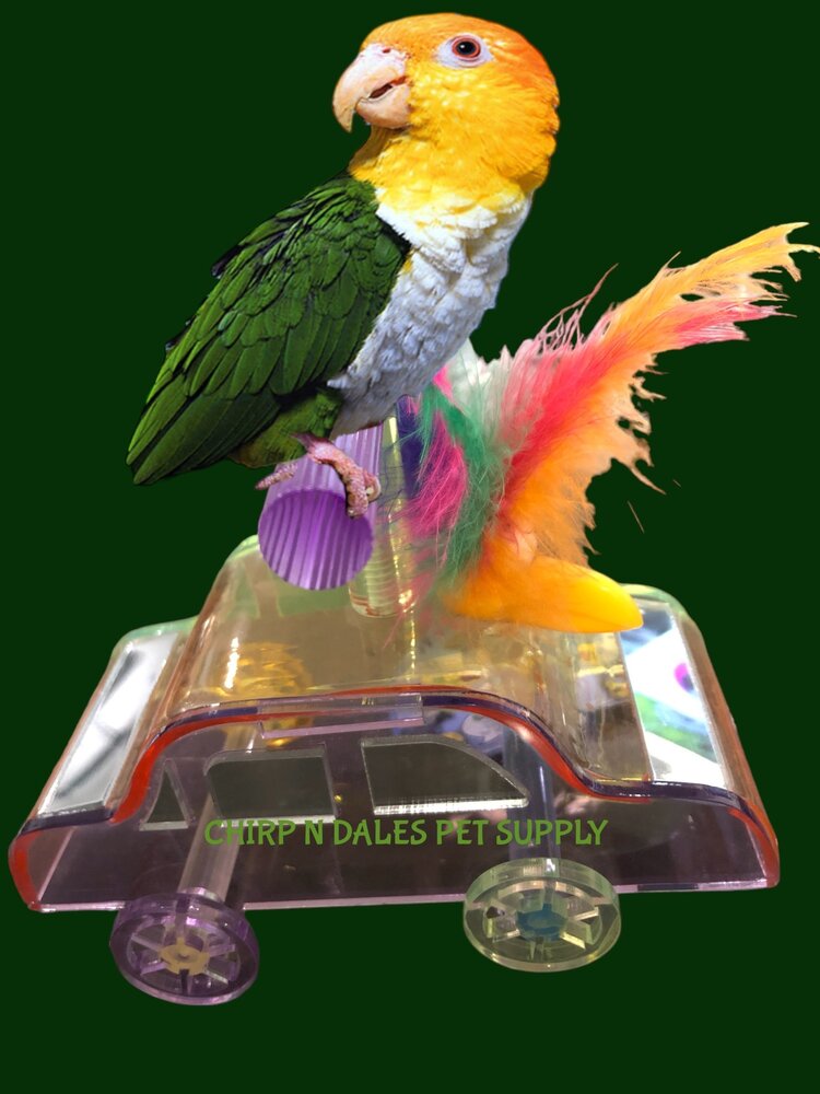 Kings Acrylic Car Perch K361