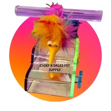 Kings Acrylic Car Perch K361