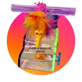 Kings Acrylic Car Perch K361