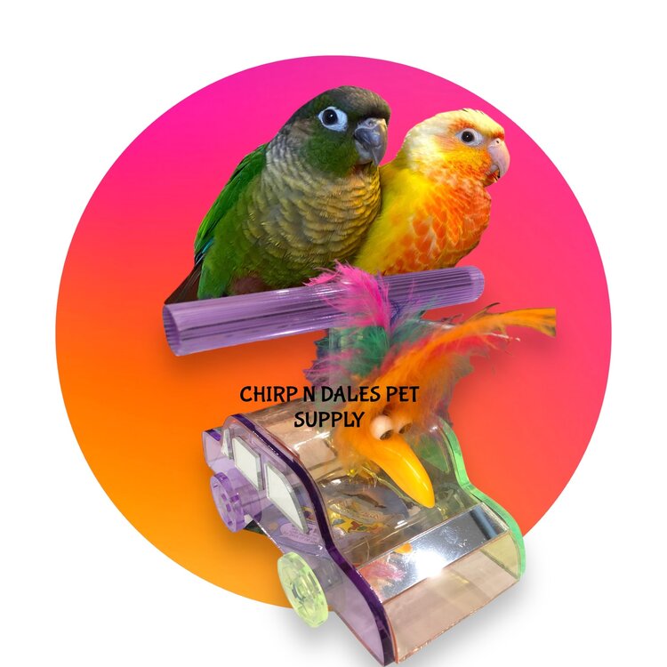 Kings Acrylic Car Perch K361