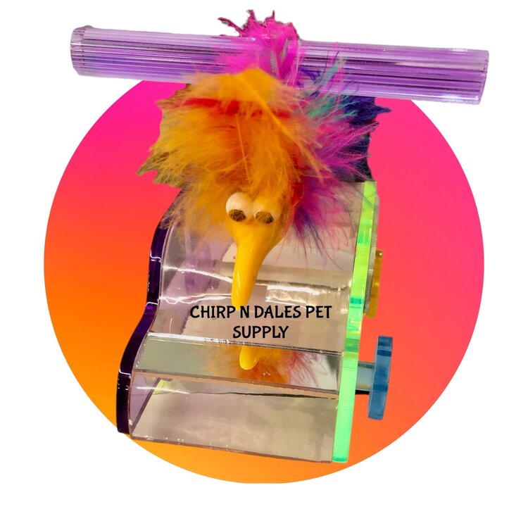 Kings Acrylic Car Perch K361