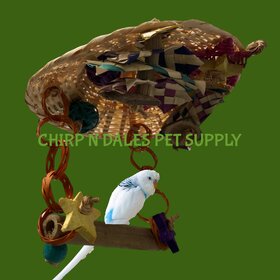 Kings Cages Kings Cages Hootenanay 9"