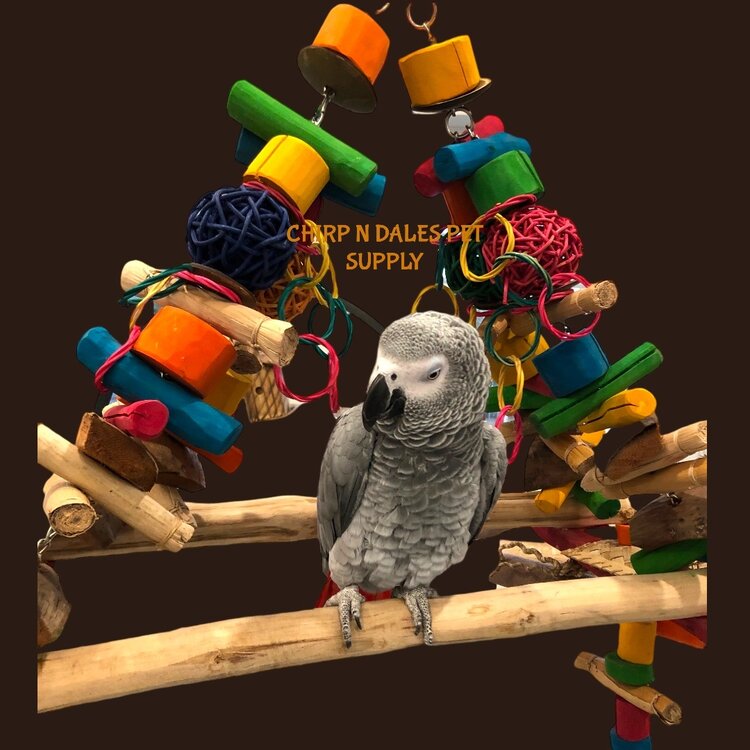 Kings Cages Kings Cages  Java Bridge K675