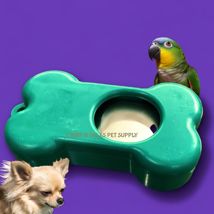 Gentle Leader Clicker Trainer