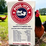 POUL-VITE 100 G A poultry vitamin water soluble premix
