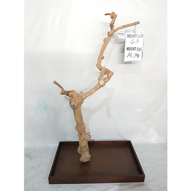 Kings Cages Kings Cages Java Enrichment Playstand  Medium-191