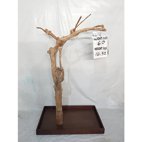 Kings Cages Kings Cages Java Enrichment Playstand  Medium-193