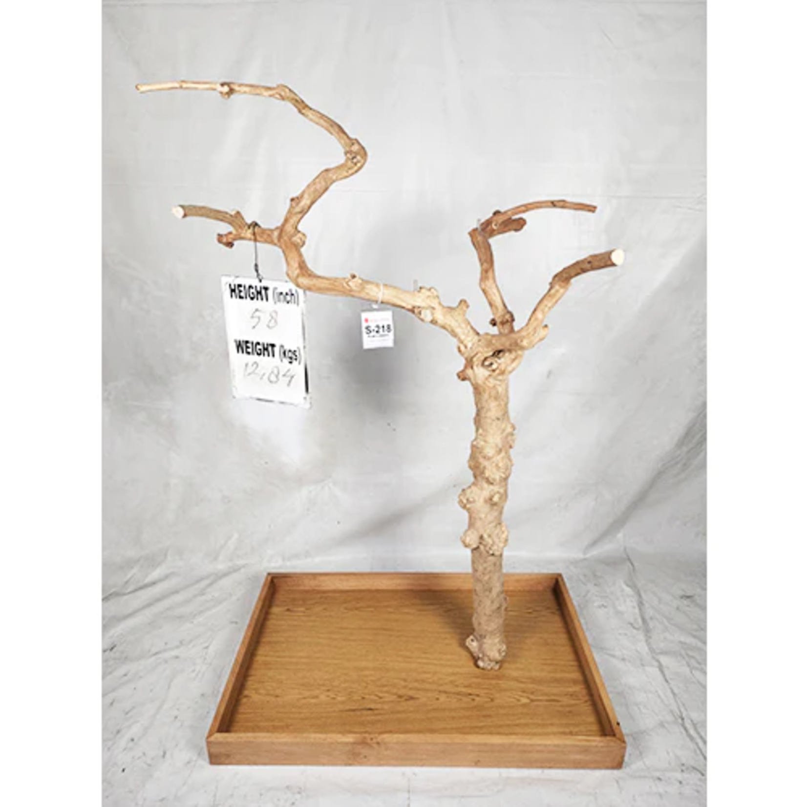 Kings Cages Kings Cages Java Enrichment Playstand Tree Small-218