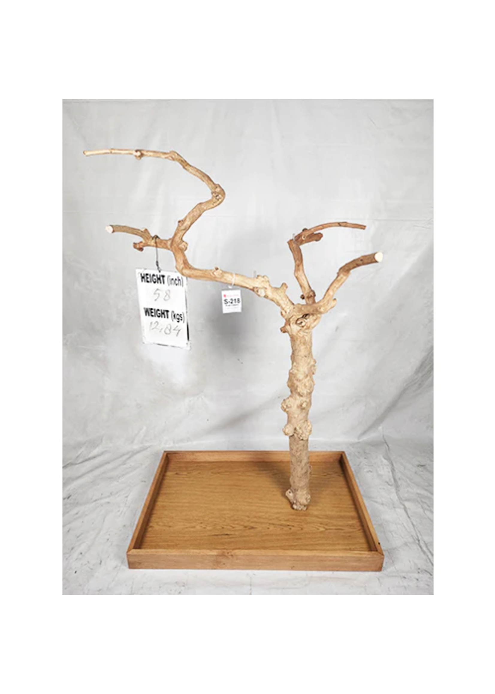 Kings Cages Kings Cages Java Enrichment Playstand Tree Small-218