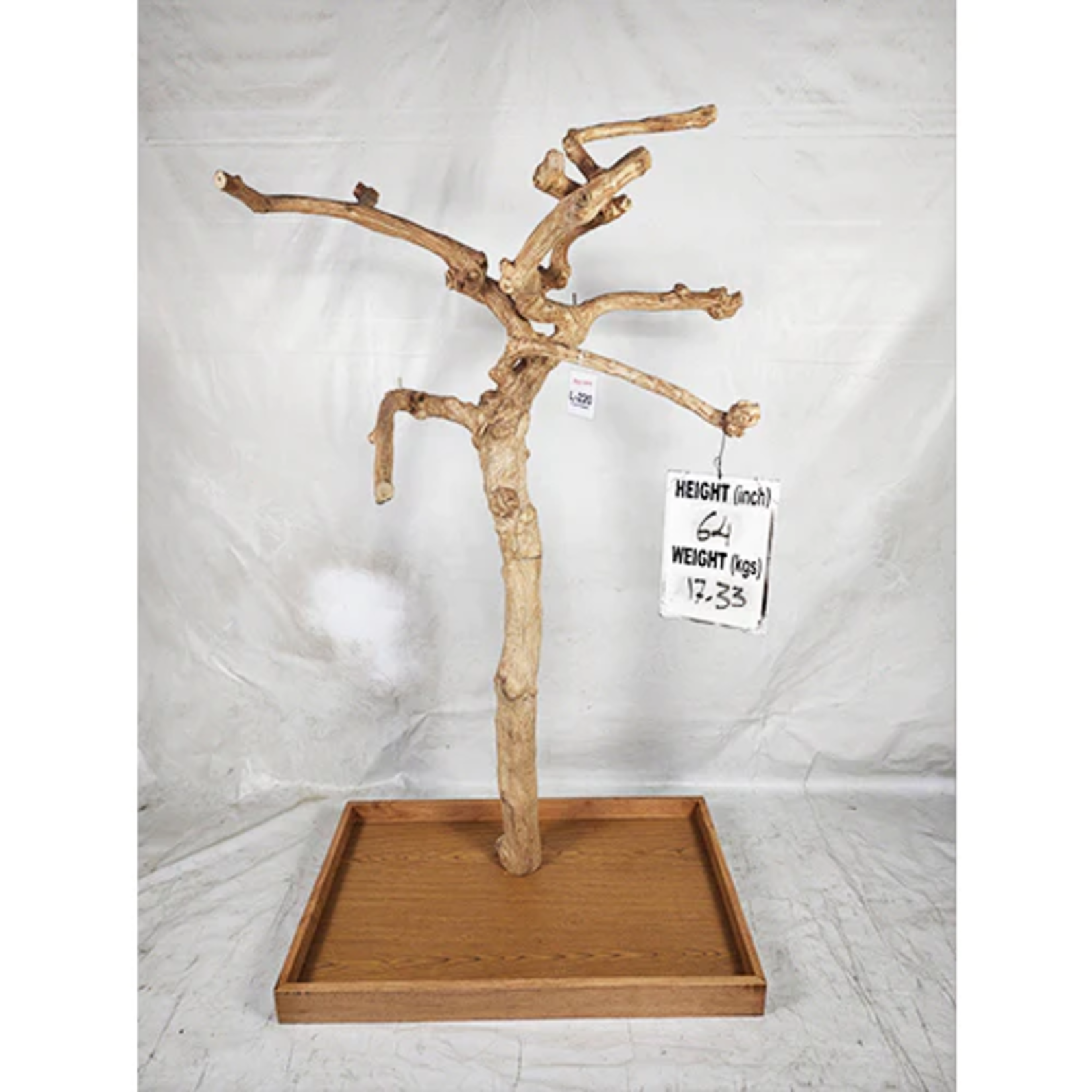 Kings Cages Kings Cages Java Enrichment Playstand Tree Large-220