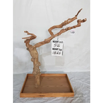 Kings Cages Kings Cages Java Enrichment Playstand Tree Large-203