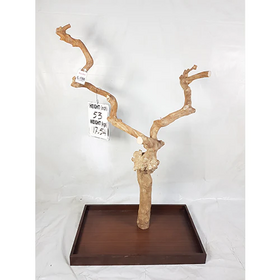 Kings Cages Kings Cages Java Enrichment Playstand Tree Large-186