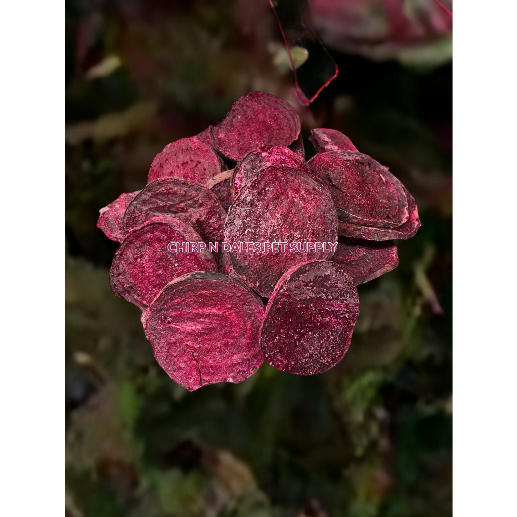Simply Freeze Dried Organic Beet Slices
