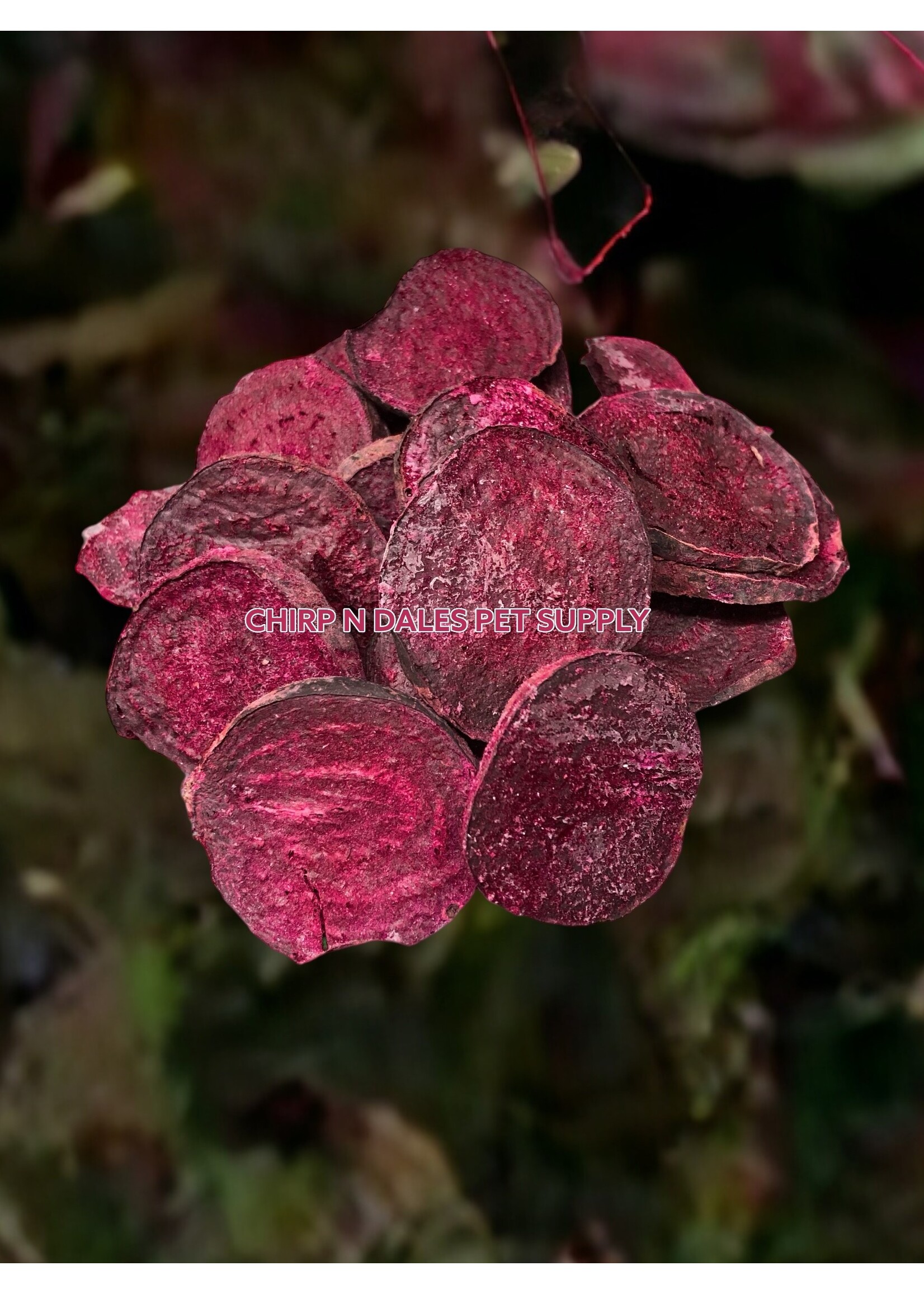 Simply Freeze Dried Organic Beet Slices