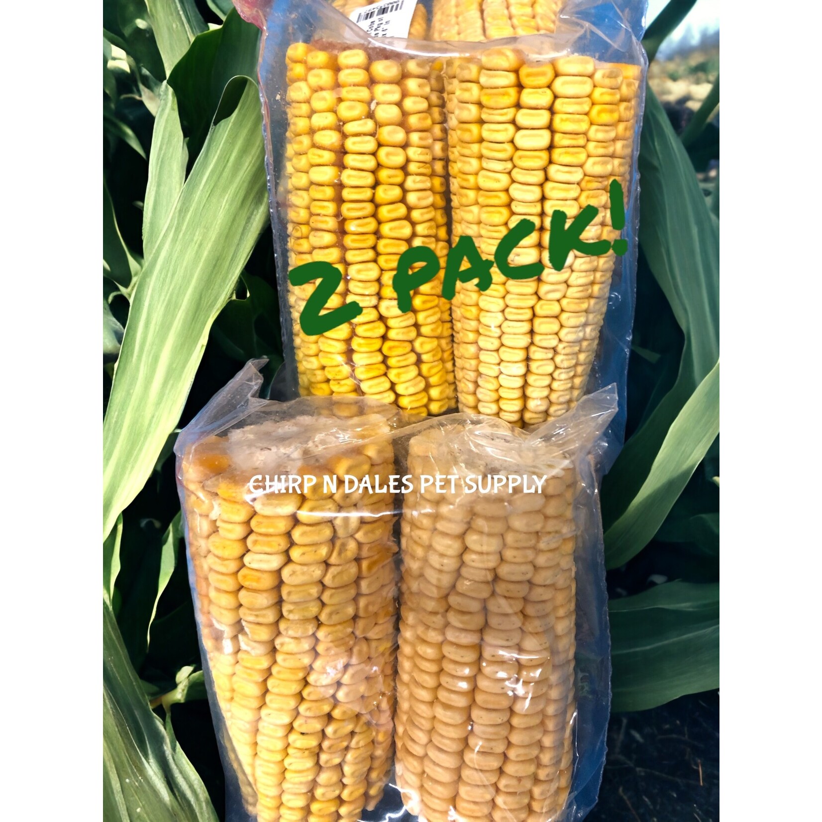 Anidis Dried Corn Cobs # 1 Grade Pkg of 2  Aprox 4" in length