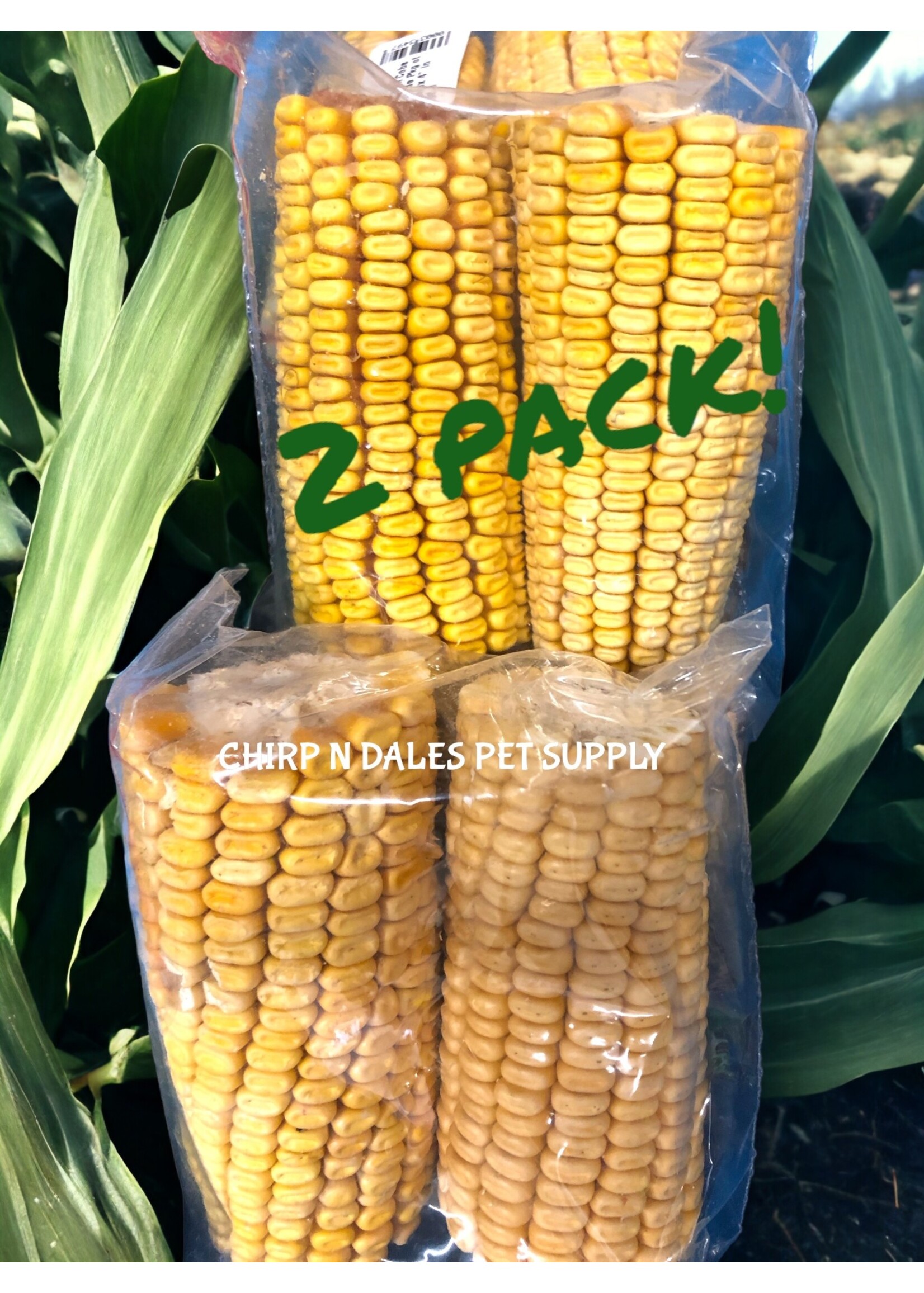 Anidis Dried Corn Cobs # 1 Grade Pkg of 2  Aprox 4" in length