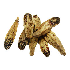 Zoo-Max Zoo Max  Natural Mahogany Pod 8 -12 cm  101243