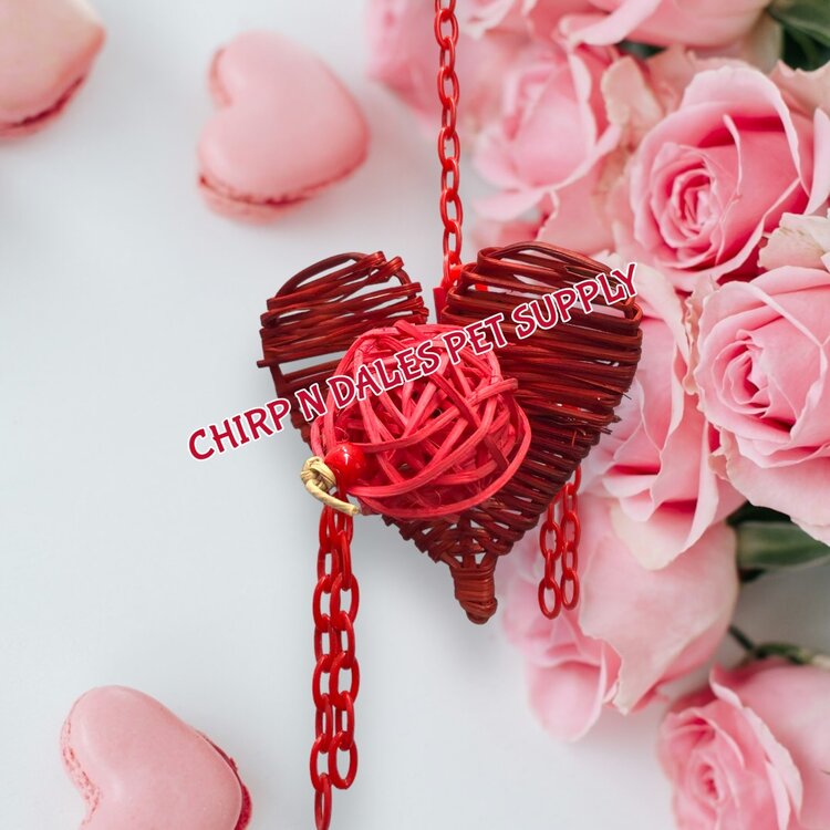 Bonkers Bonkers Valentine Be Mine 7"x4"