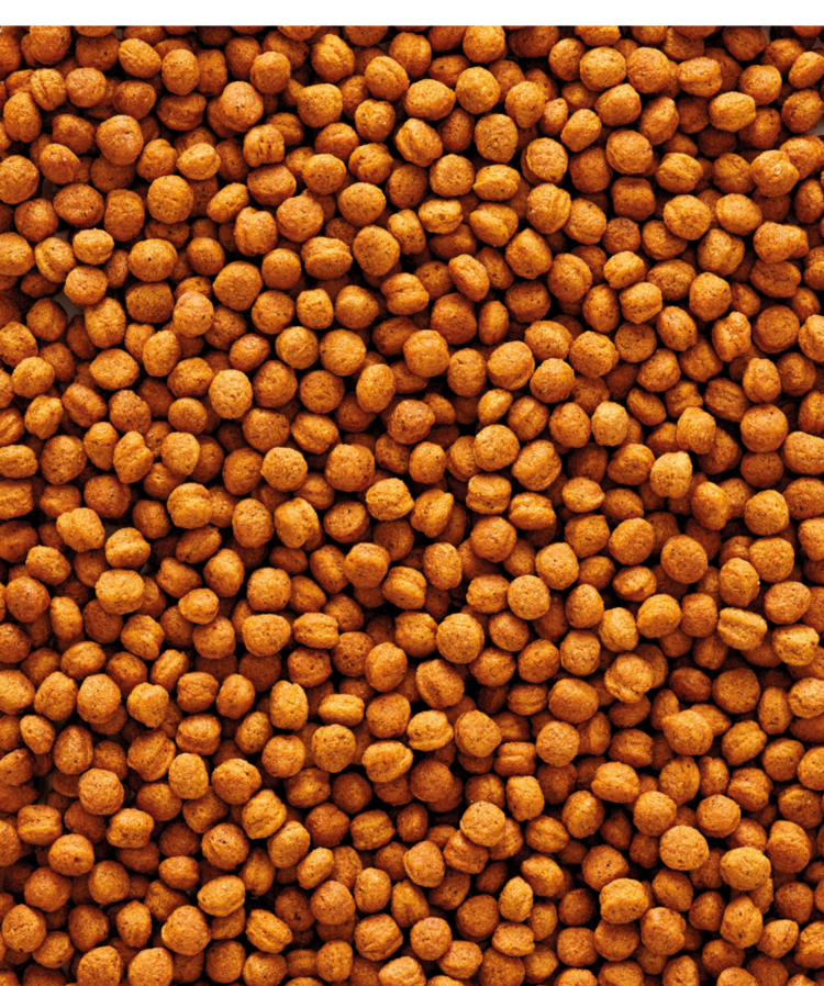 Versele-Laga Versele Laga NutriBird T16 Softbill  (700g)