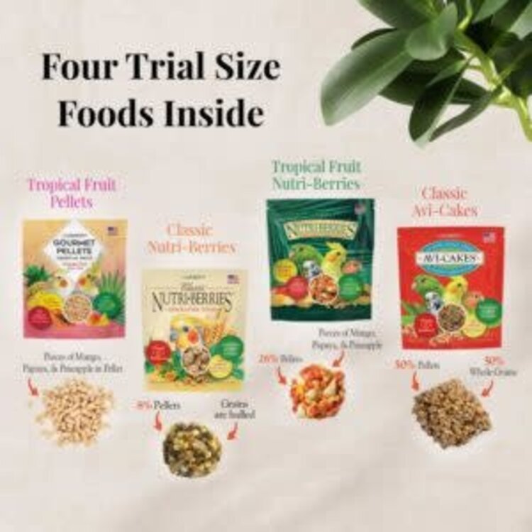 Lafeber's Lafeber Cockatiel Foraging Fun Pack