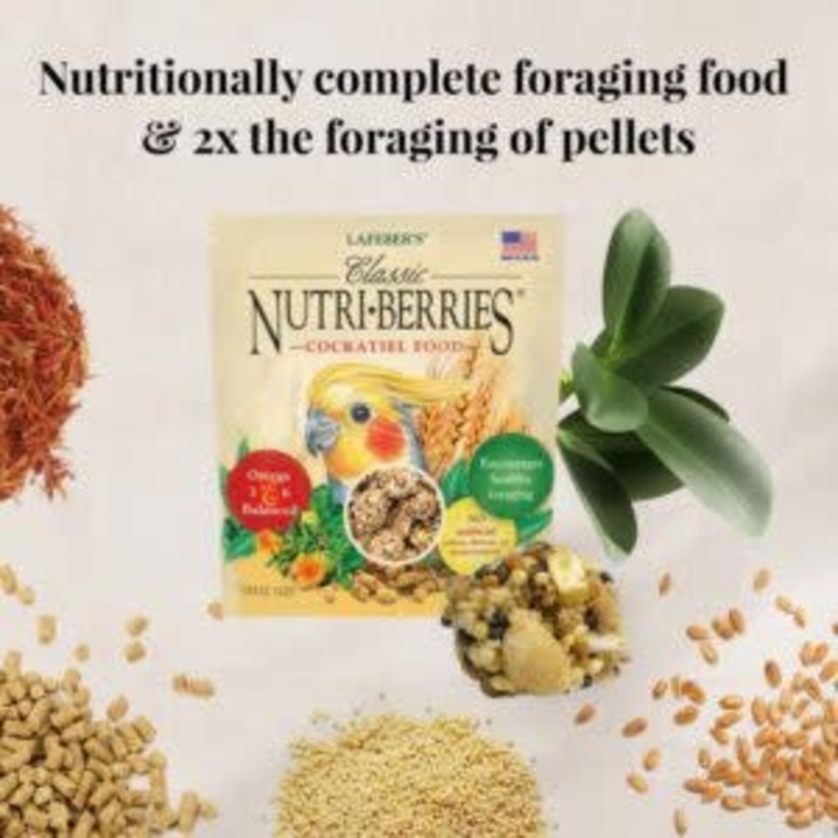 Lafeber's Lafeber Cockatiel Foraging Fun Pack