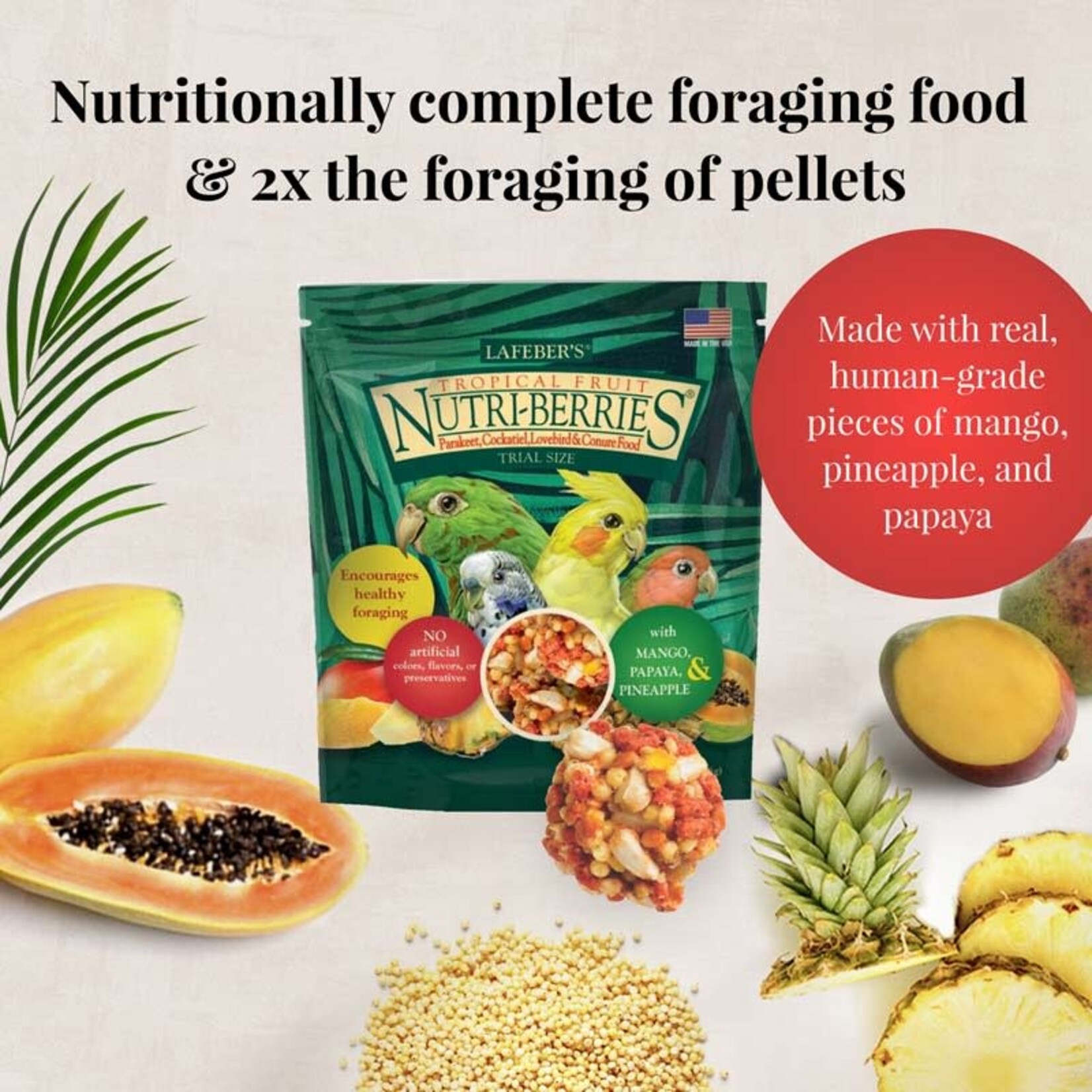 Lafeber's Lafeber Cockatiel Foraging Fun Pack